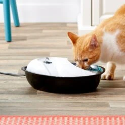 Pioneer Pet Plastic Dog & Cat Fountain Raindrop Design, 60-oz -Blue Buffalos Shop 66968 PT3. AC SS1800 V1539379059