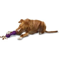 PetSafe Busy Buddy Chuckle Squeaky Treat Dispenser Dog Toy 11 PetSafe Busy Buddy Chuckle Squeaky Treat Dispenser Dog Toy -Blue Buffalos Shop 67197 PT2. AC SS1800 V1602314161