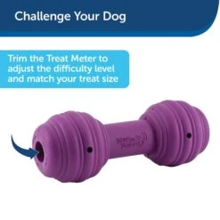 PetSafe Busy Buddy Chuckle Squeaky Treat Dispenser Dog Toy 14 PetSafe Busy Buddy Chuckle Squeaky Treat Dispenser Dog Toy -Blue Buffalos Shop 67197 PT6. AC SS1800 V1602292561