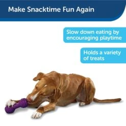PetSafe Busy Buddy Chuckle Squeaky Treat Dispenser Dog Toy 15 PetSafe Busy Buddy Chuckle Squeaky Treat Dispenser Dog Toy -Blue Buffalos Shop 67197 PT7. AC SS1800 V1602285959