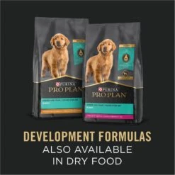 Purina Pro Plan Development Puppy Chicken & Rice Entree Canned Dog Food -Blue Buffalos Shop 67446 PT6. AC SS1800 V1689791970