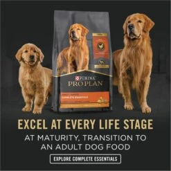 Purina Pro Plan Development Puppy Chicken & Rice Entree Canned Dog Food -Blue Buffalos Shop 67446 PT7. AC SS1800 V1689791335