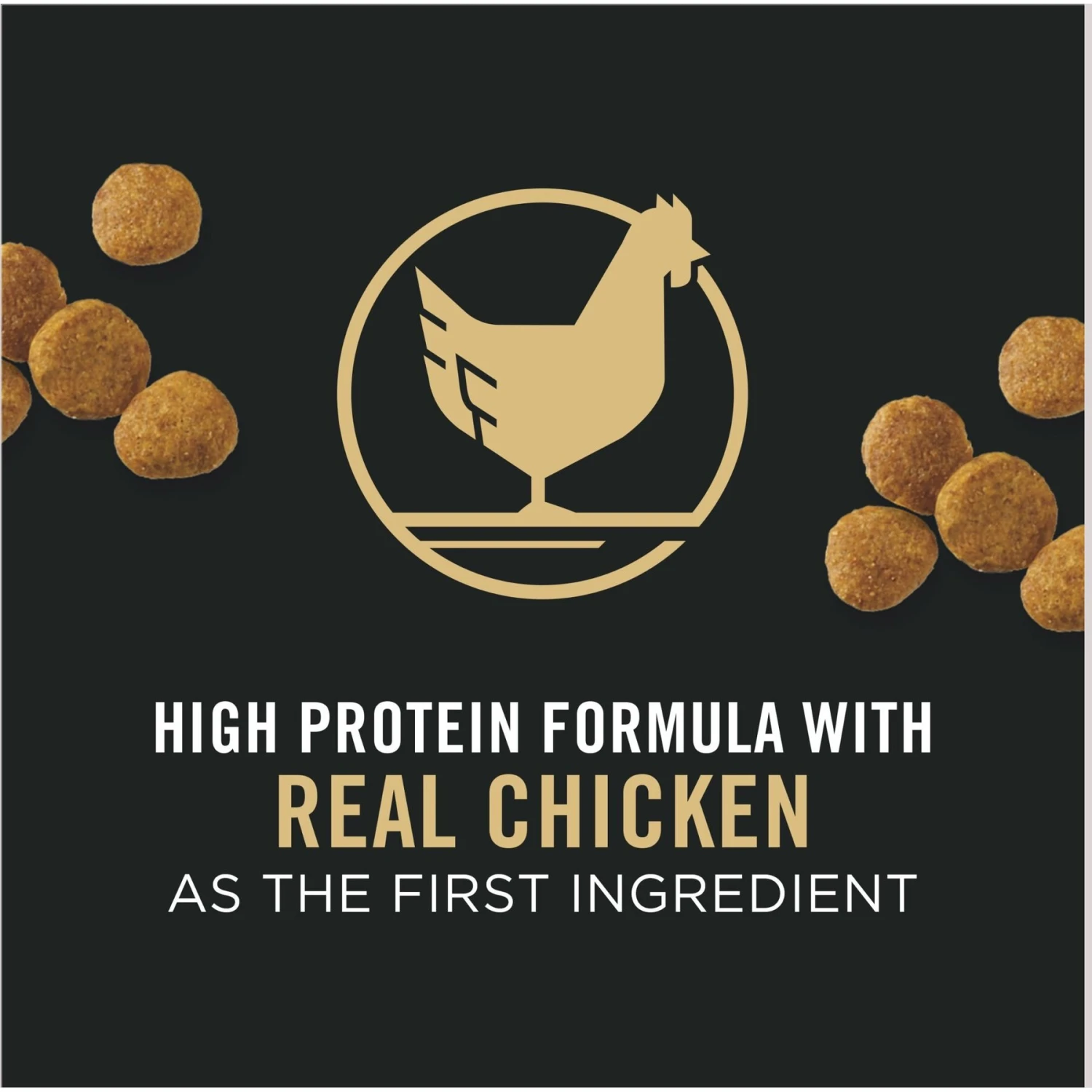 Purina Pro Plan High Protein Chicken & Rice Formula Dry Puppy Food 5 Purina Pro Plan High Protein Chicken & Rice Formula Dry Puppy Food - Image 3