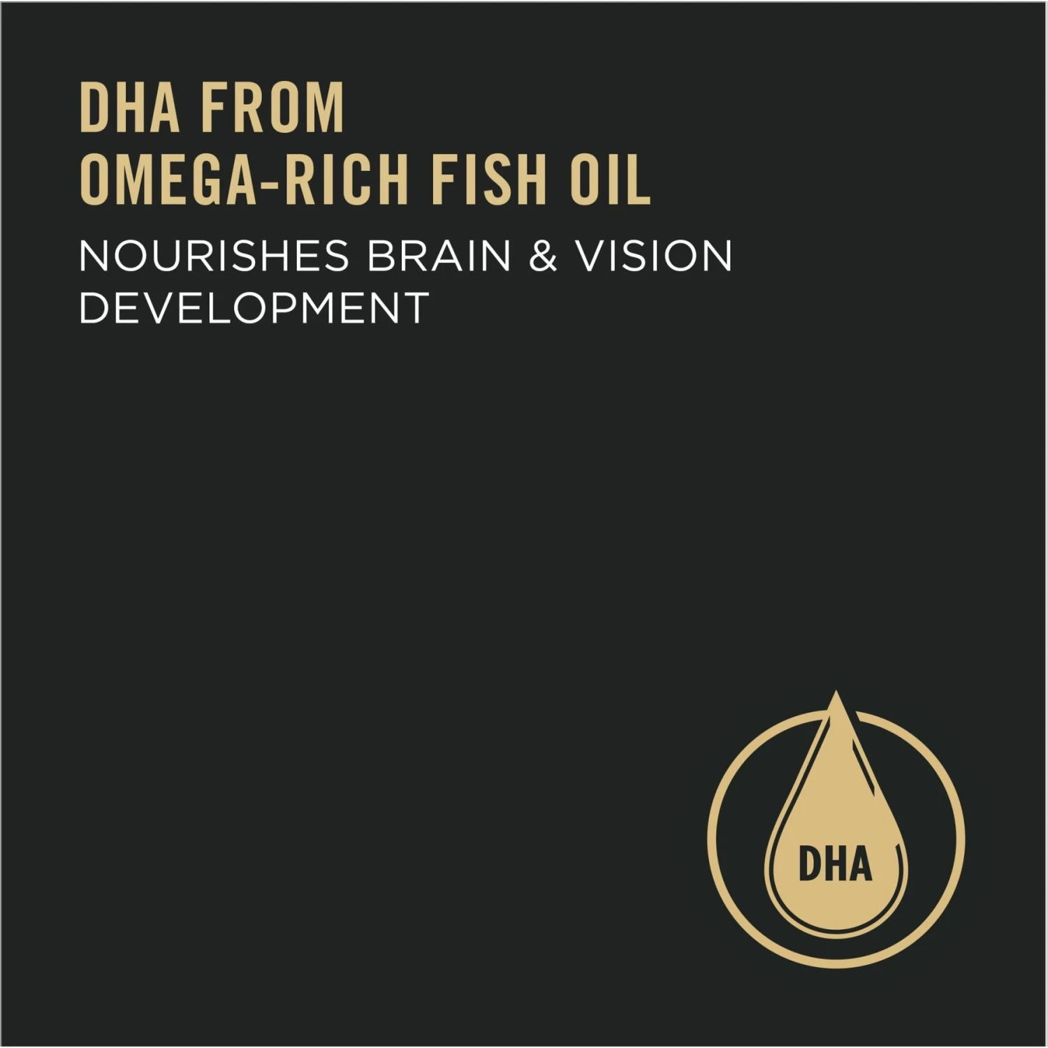 Purina Pro Plan High Protein Chicken & Rice Formula Dry Puppy Food 6 Purina Pro Plan High Protein Chicken & Rice Formula Dry Puppy Food - Image 4