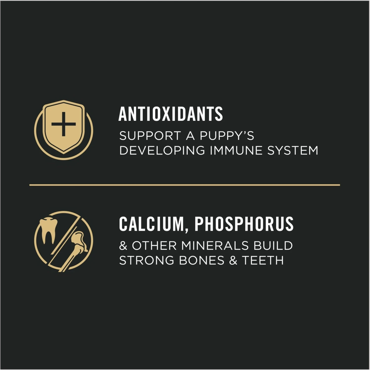 Purina Pro Plan High Protein Chicken & Rice Formula Dry Puppy Food 7 Purina Pro Plan High Protein Chicken & Rice Formula Dry Puppy Food - Image 5
