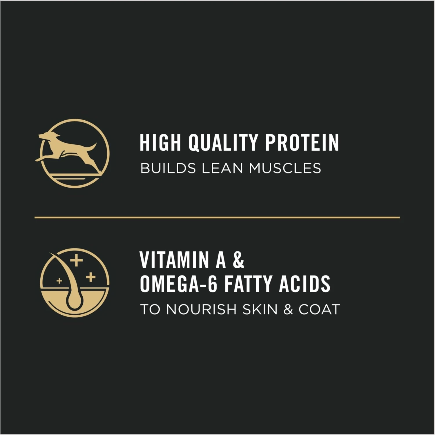 Purina Pro Plan High Protein Chicken & Rice Formula Dry Puppy Food 9 Purina Pro Plan High Protein Chicken & Rice Formula Dry Puppy Food - Image 7
