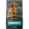 Purina Pro Plan High Protein Chicken & Rice Formula Large Breed Dry Puppy Food -Blue Buffalos Shop 67488 MAIN. AC SS1800 V1683569756