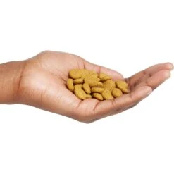 Purina Pro Plan High Protein Chicken & Rice Formula Large Breed Dry Puppy Food -Blue Buffalos Shop 67488 PT4. AC SS1800 V1683575898