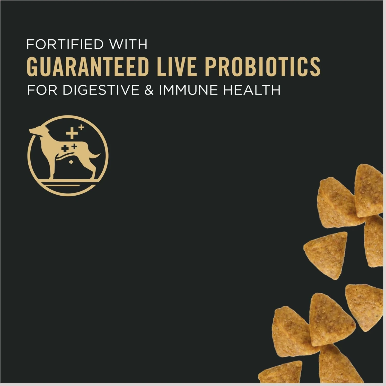 Purina Pro Plan Puppy Small Breed Chicken & Rice Formula Dry Dog Food 5 Purina Pro Plan Puppy Small Breed Chicken & Rice Formula Dry Dog Food - Image 3