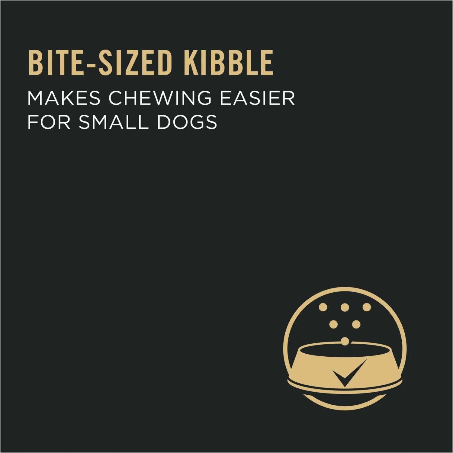 Purina Pro Plan Puppy Small Breed Chicken & Rice Formula Dry Dog Food 10 Purina Pro Plan Puppy Small Breed Chicken & Rice Formula Dry Dog Food - Image 8