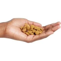 Purina Pro Plan Adult 7+ Shredded Blend Chicken & Rice Formula Dry Dog Food -Blue Buffalos Shop 67527 PT4. AC SS1800 V1649195892