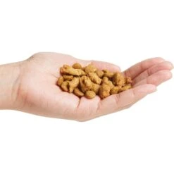 Purina Pro Plan Puppy Shredded Blend Chicken & Rice Formula With Probiotics Dry Dog Food -Blue Buffalos Shop 67531 PT4. AC SS1800 V1683575002