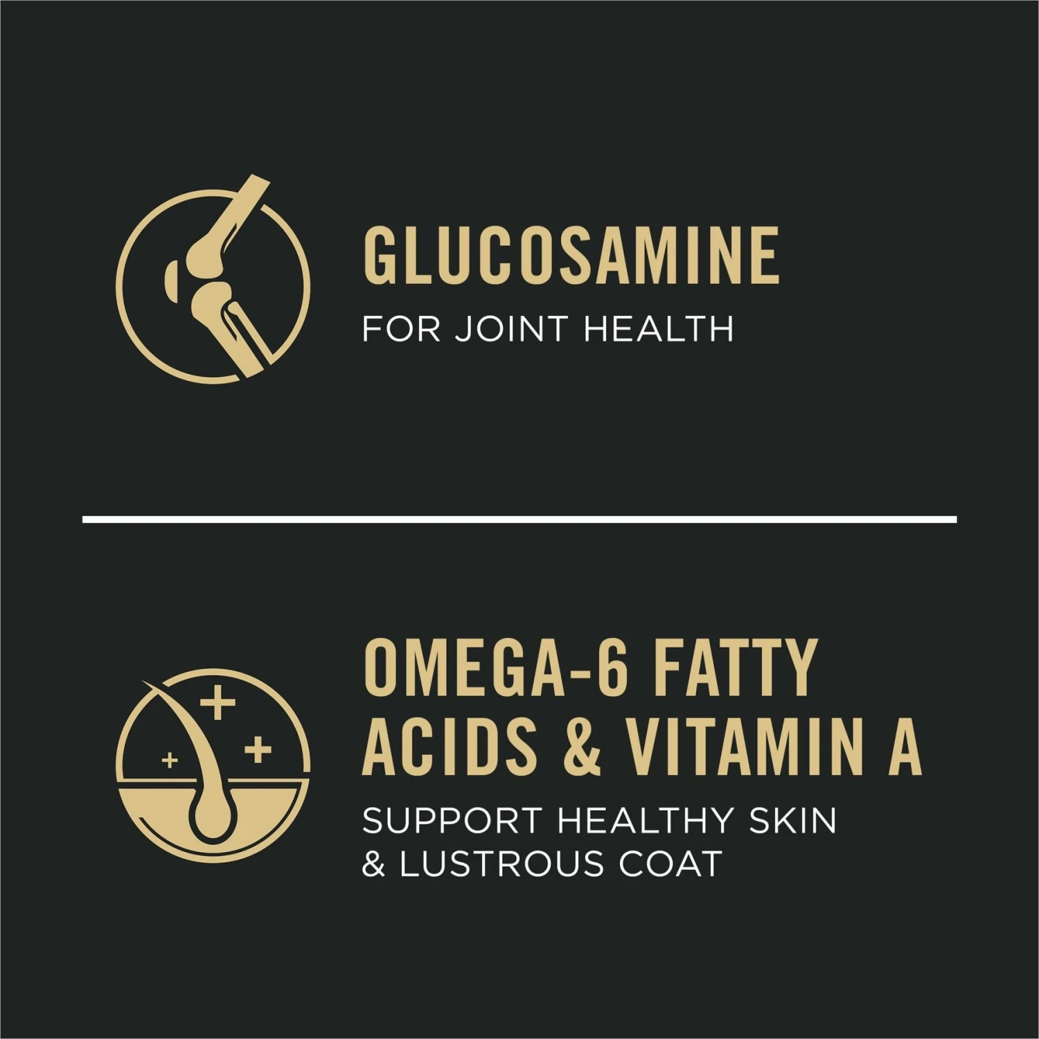 Purina Pro Plan Sport All Life Stages High-Protein Active 26/16 Formula Dry Dog Food 6 Purina Pro Plan Sport All Life Stages High-Protein Active 26/16 Formula Dry Dog Food - Image 4