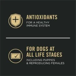 Purina Pro Plan Sport All Life Stages High-Protein Active 26/16 Formula Dry Dog Food 15 Purina Pro Plan Sport All Life Stages High-Protein Active 26/16 Formula Dry Dog Food -Blue Buffalos Shop 67681 PT6. AC SS1800 V1597877161