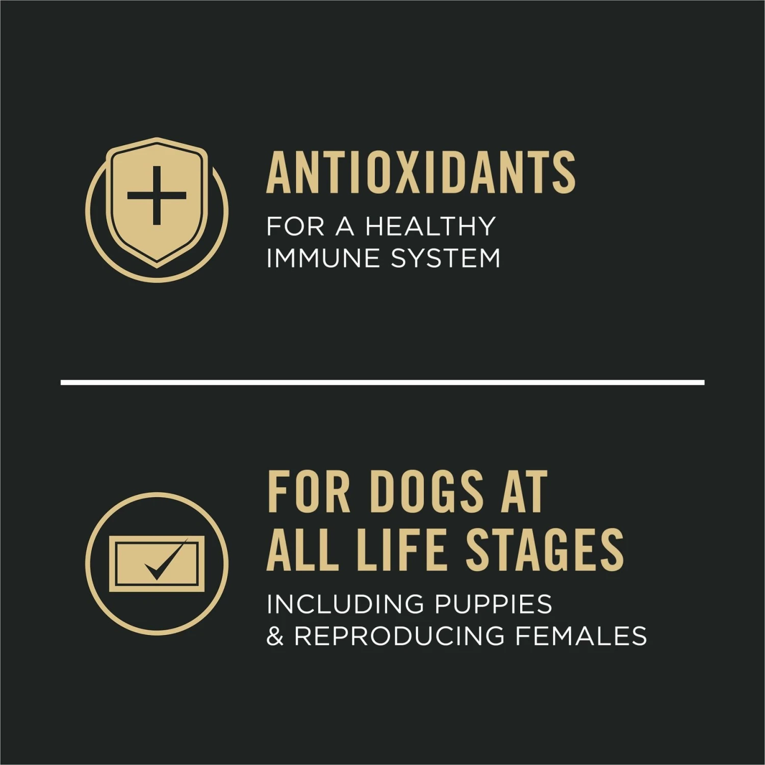 Purina Pro Plan Sport All Life Stages High-Protein Active 26/16 Formula Dry Dog Food 8 Purina Pro Plan Sport All Life Stages High-Protein Active 26/16 Formula Dry Dog Food - Image 6