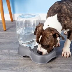 Petmate Pearl Pet Cafe Waterer -Blue Buffalos Shop 68452 PT8. AC SS1800 V1540309962