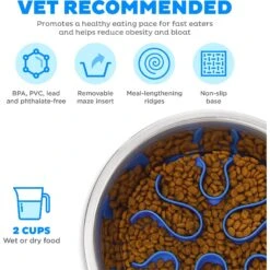 Outward Hound Stainless Steel Fun Slow Feeder Dog Bowl -Blue Buffalos Shop 684942 PT4. AC SS1800 V1694286651