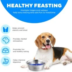 Outward Hound Stainless Steel Fun Slow Feeder Dog Bowl -Blue Buffalos Shop 684942 PT5. AC SS1800 V1694286101