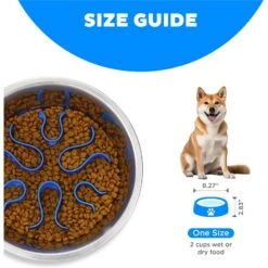 Outward Hound Stainless Steel Fun Slow Feeder Dog Bowl -Blue Buffalos Shop 684942 PT6. AC SS1800 V1694440047