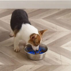 Outward Hound Stainless Steel Fun Slow Feeder Dog Bowl -Blue Buffalos Shop 684942 PT7. AC SS1800 V1694439666