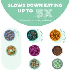 Outward Hound Fun Feeder Slo Tray Slow Feeder Dog Bowl 11 Outward Hound Fun Feeder Slo Tray Slow Feeder Dog Bowl -Blue Buffalos Shop 684958 PT2. AC SS1800 V1694440048