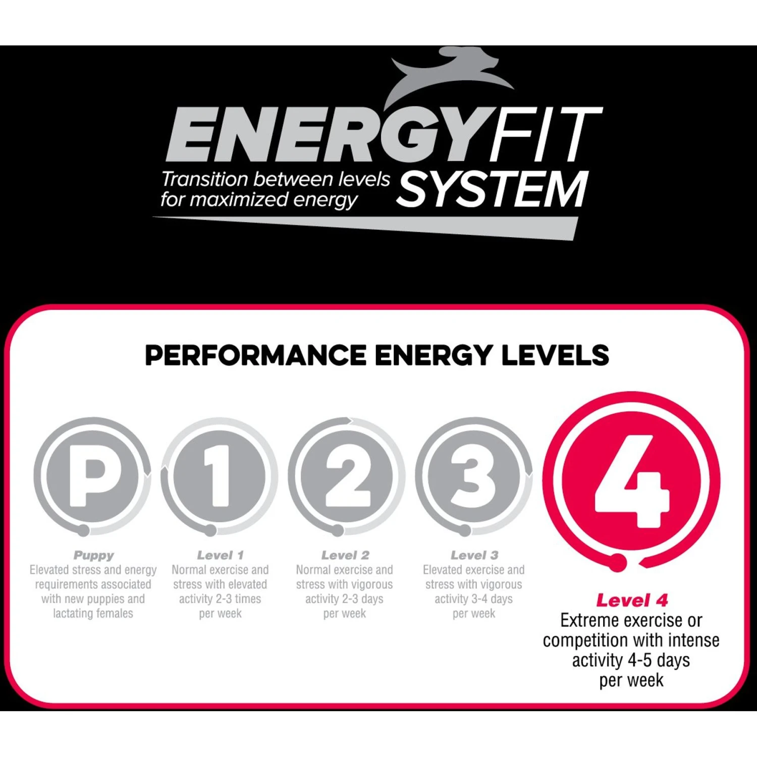 Blue Seal Native Level 4 Dry Dog Food, 40-lb Bag 8 Blue Seal Native Level 4 Dry Dog Food, 40-lb Bag - Image 6