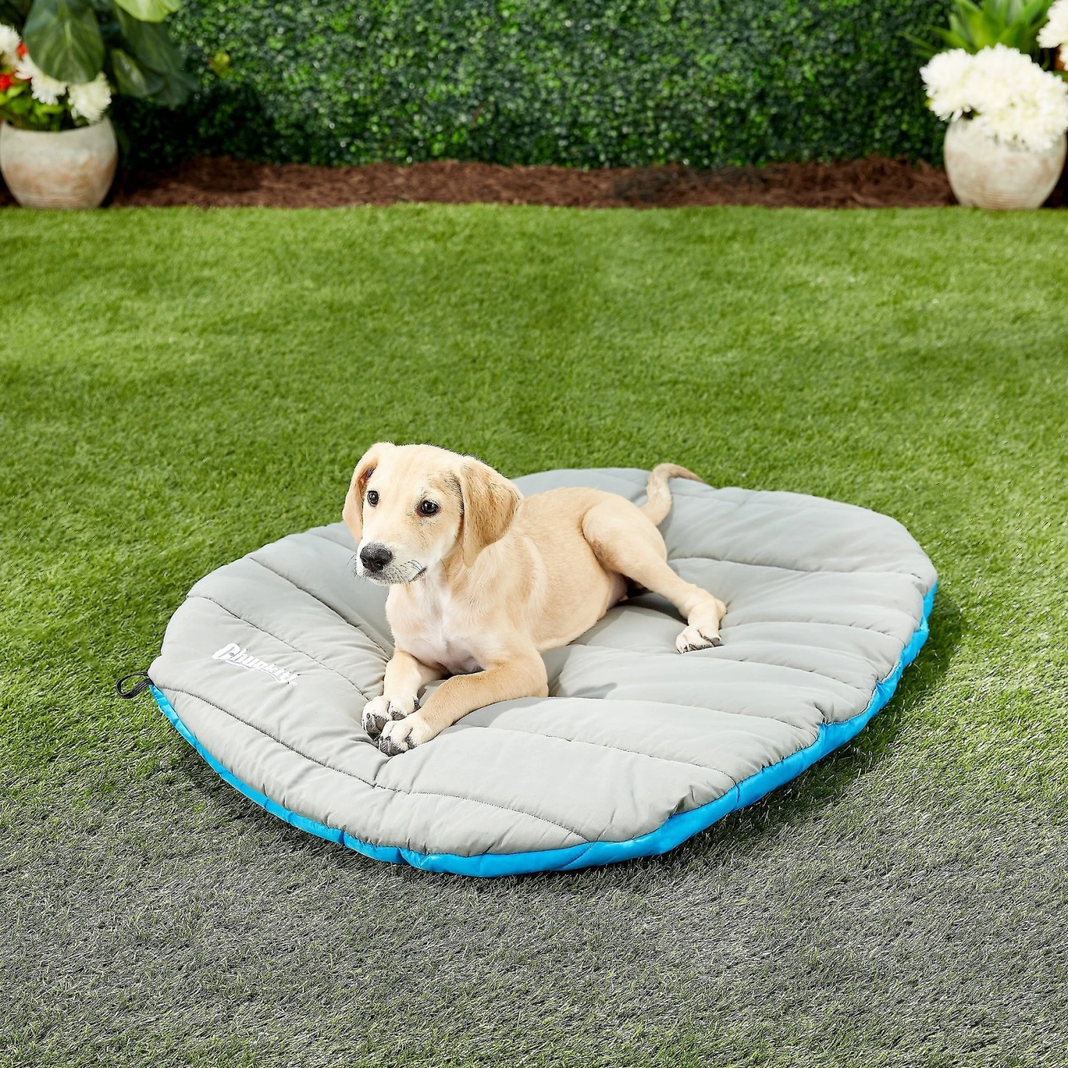 Chuckit! Travel Pillow Dog Bed 3 Chuckit! Travel Pillow Dog Bed