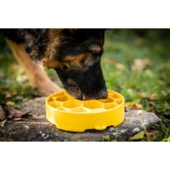 SodaPup Honeycomb Slow Feeder Dog Bowl, Yellow, Large 12 SodaPup Honeycomb Slow Feeder Dog Bowl, Yellow, Large -Blue Buffalos Shop 690574 PT3. AC SS1800 V1667519660