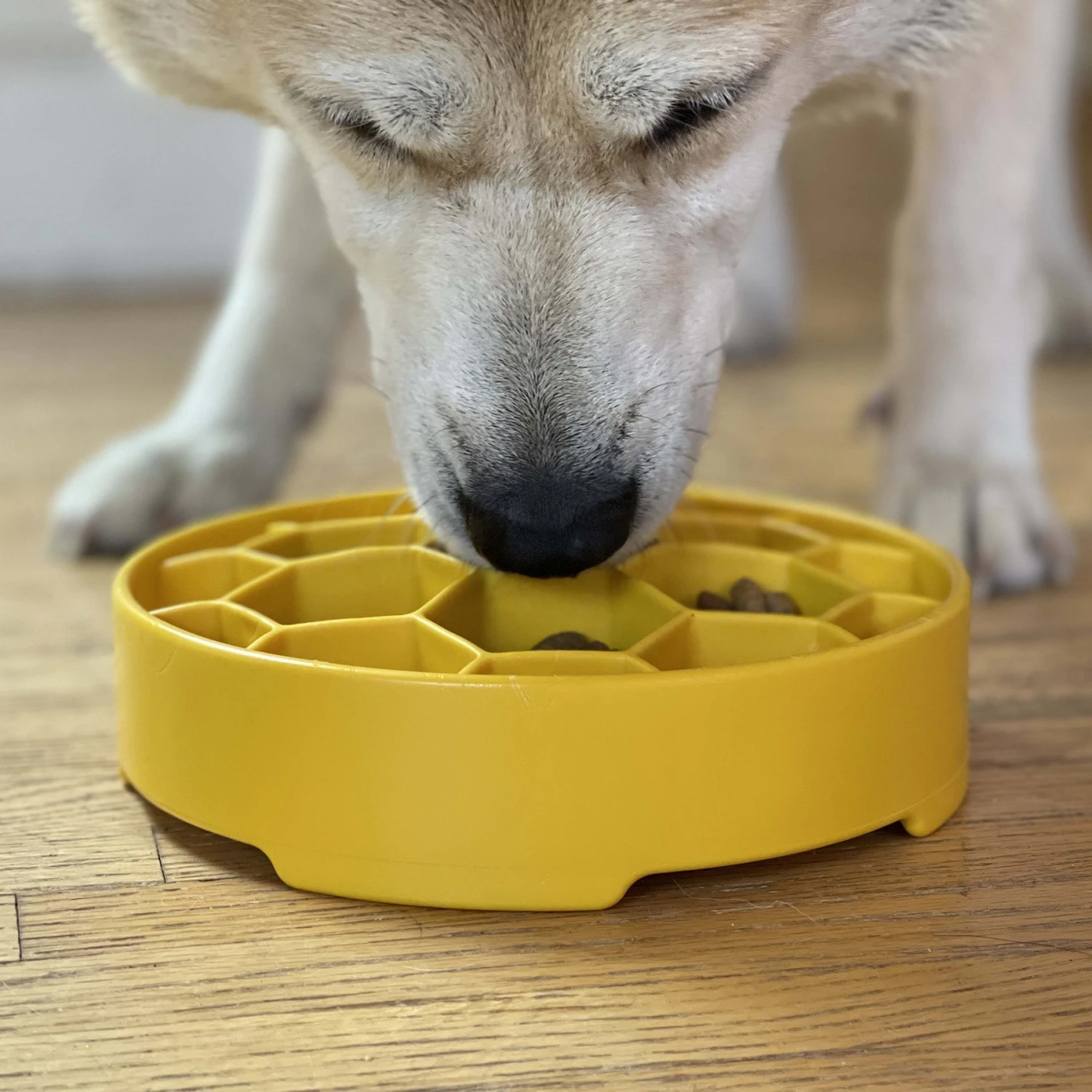 SodaPup Honeycomb Slow Feeder Dog Bowl, Yellow, Large 8 SodaPup Honeycomb Slow Feeder Dog Bowl, Yellow, Large - Image 6