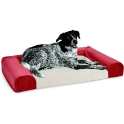 MidWest Signature QuietTime Memory Foam Dog & Cat Bed Sofa 10 MidWest Signature QuietTime Memory Foam Dog & Cat Bed Sofa -Blue Buffalos Shop 690958 PT1. AC SS1800 V1667342779