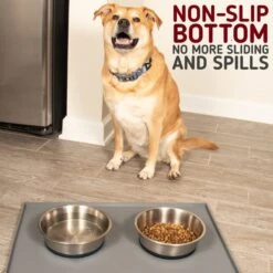 Leashboss Stainless Steel Silicone Base Dog Bowl, Medium/Large 10 Leashboss Stainless Steel Silicone Base Dog Bowl, Medium/Large -Blue Buffalos Shop 695022 PT3. AC SS1800 V1669907409