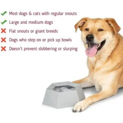 Leashboss Splashless Travel Dog Water Bowl, Gray, 40-oz Cup 12 Leashboss Splashless Travel Dog Water Bowl, Gray, 40-oz Cup -Blue Buffalos Shop 695166 PT2. AC SS1800 V1669906962