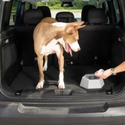 Leashboss Splashless Travel Dog Water Bowl, Gray, 40-oz Cup 15 Leashboss Splashless Travel Dog Water Bowl, Gray, 40-oz Cup -Blue Buffalos Shop 695166 PT5. AC SS1800 V1669906896