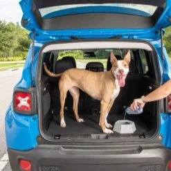 Leashboss Splashless Travel Dog Water Bowl, Gray, 40-oz Cup 16 Leashboss Splashless Travel Dog Water Bowl, Gray, 40-oz Cup -Blue Buffalos Shop 695166 PT6. AC SS1800 V1669907360