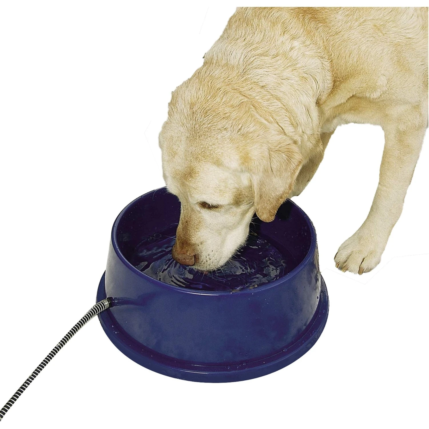 K&H Pet Products Thermal-Bowl Outdoor Heated Cat & Dog Water Bowl 3 K&H Pet Products Thermal-Bowl Outdoor Heated Cat & Dog Water Bowl
