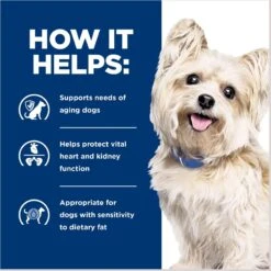 Hill's Prescription Diet G/d Aging Care Turkey Flavor Wet Senior Dog Food 15 Hill's Prescription Diet G/d Aging Care Turkey Flavor Wet Senior Dog Food -Blue Buffalos Shop 69757 PT4. AC SS1800 V1687984736