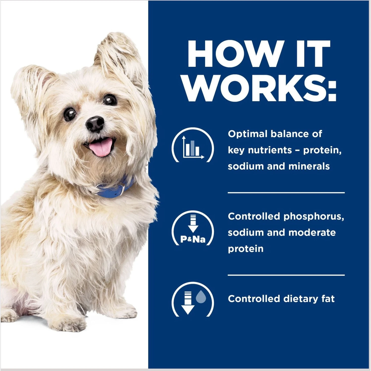 Hill's Prescription Diet G/d Aging Care Turkey Flavor Wet Senior Dog Food 8 Hill's Prescription Diet G/d Aging Care Turkey Flavor Wet Senior Dog Food - Image 6