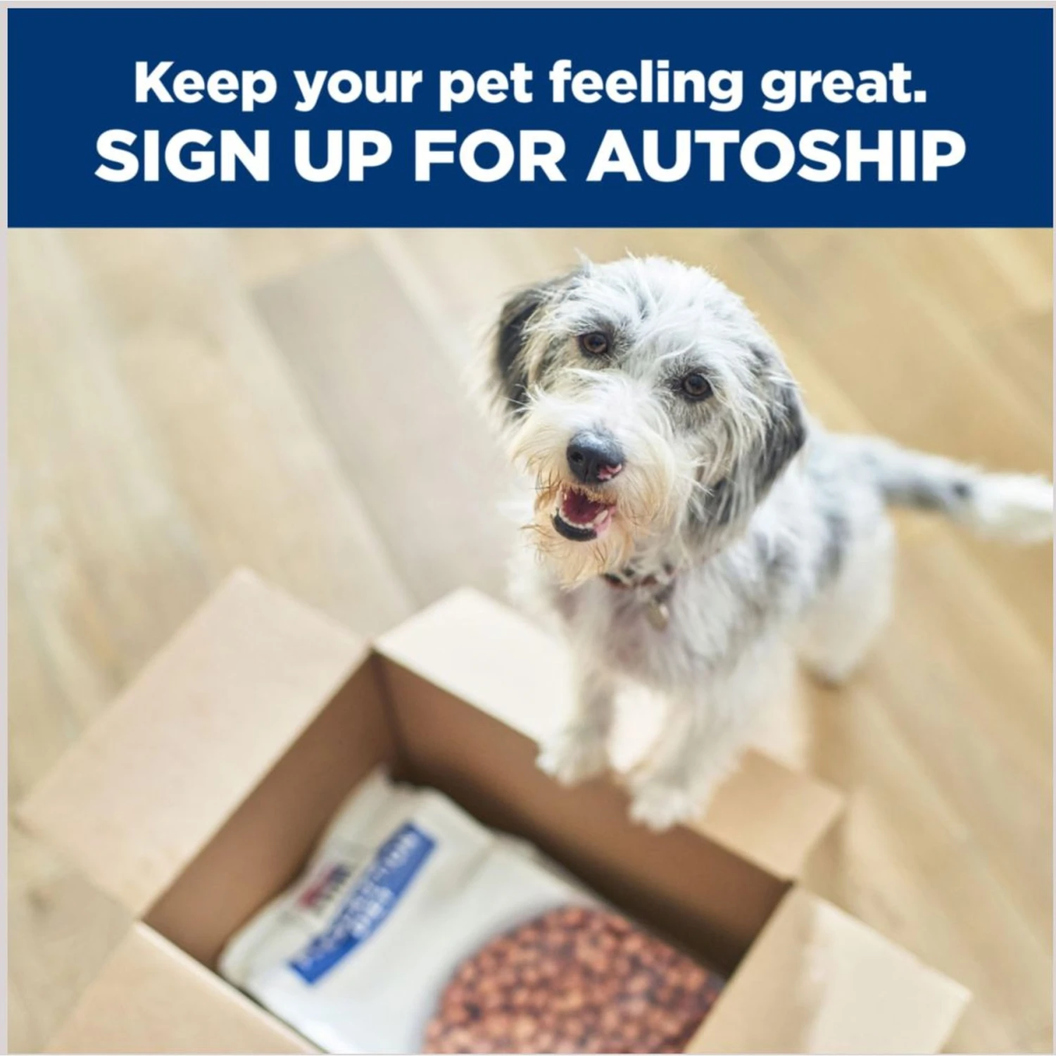 Hill's Prescription Diet G/d Aging Care Turkey Flavor Wet Senior Dog Food 9 Hill's Prescription Diet G/d Aging Care Turkey Flavor Wet Senior Dog Food - Image 7