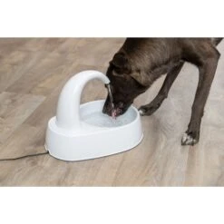 TRIXIE Curved Stream Cat & Dog Water Fountain, White, 84.5-oz -Blue Buffalos Shop 701774 PT2. AC SS1800 V1688752030