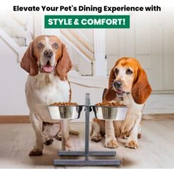 Iconic Pet Adjustable Stainless Steel Elevated Dog Bowl, H Design -Blue Buffalos Shop 701886 PT5. AC SS1800 V1668110985