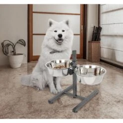 Iconic Pet Adjustable Stainless Steel Elevated Dog Bowl, H Design -Blue Buffalos Shop 701886 PT6. AC SS1800 V1668110956