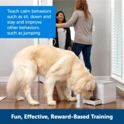 PetSafe Teach & Treat Remote Treat Dispenser, White -Blue Buffalos Shop 710126 PT5. AC SS1800 V1668198443