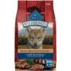 Blue Buffalo Wilderness Rocky Mountain Recipe Puppy High Protein Natural Red Meat & Grain Dry Dog Food -Blue Buffalos Shop 711310 MAIN. AC SS1800 V1694547212