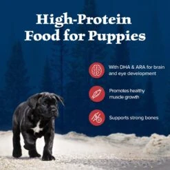 Blue Buffalo Wilderness Rocky Mountain Recipe Puppy High Protein Natural Red Meat & Grain Dry Dog Food -Blue Buffalos Shop 711310 PT2. AC SS1800 V1694547716