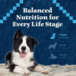 Blue Buffalo Wilderness Rocky Mountain Recipe Puppy High Protein Natural Red Meat & Grain Dry Dog Food -Blue Buffalos Shop 711310 PT6. AC SS1800 V1694549407