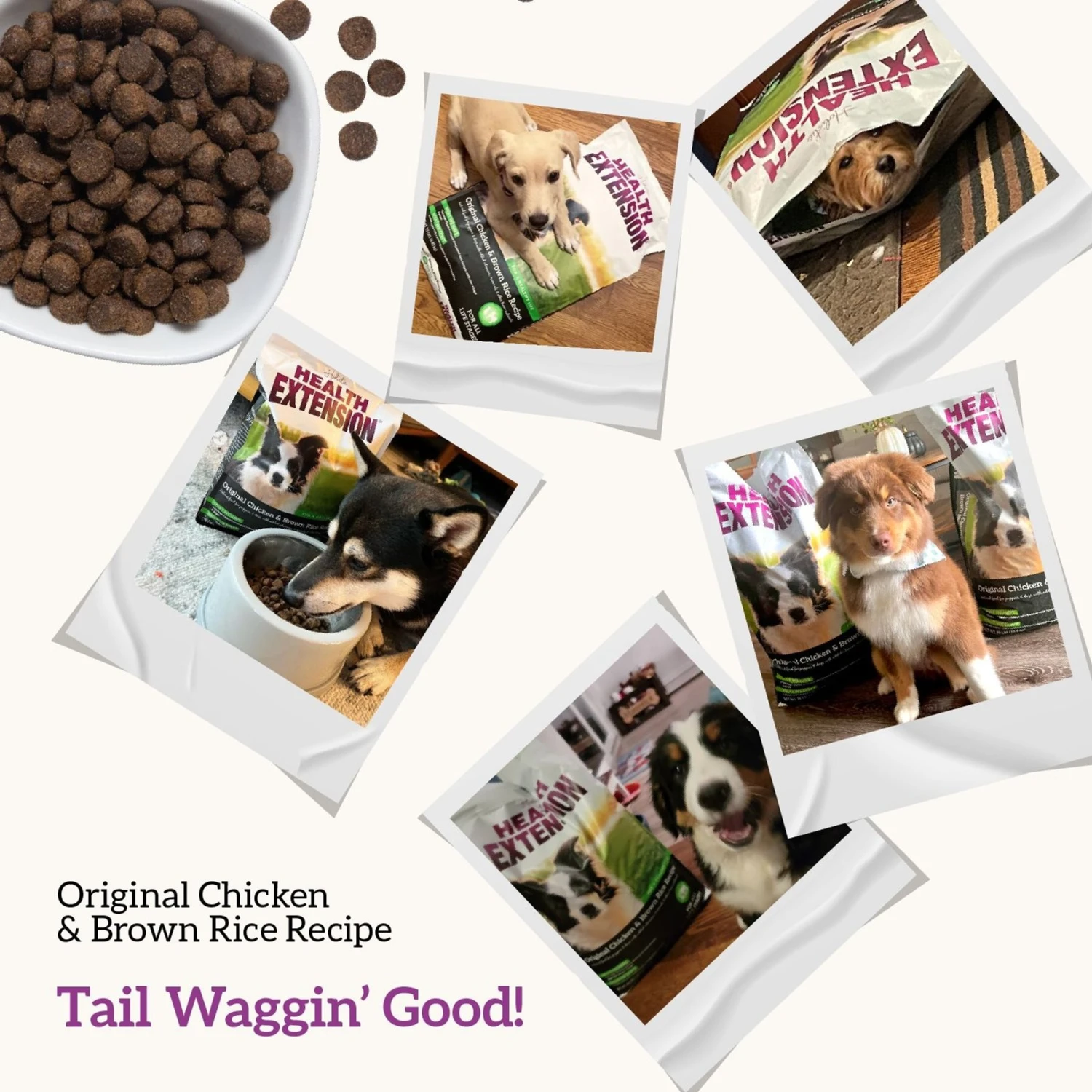 Health Extension Original Chicken & Brown Rice Recipe Dry Dog Food 10 Health Extension Original Chicken & Brown Rice Recipe Dry Dog Food - Image 8