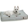 Bark And Slumber Birdie Plush Eco Friendly Fabric Lounger Dog Bed 1 Bark And Slumber Birdie Plush Eco Friendly Fabric Lounger Dog Bed -Blue Buffalos Shop 716998 MAIN. AC SS1800 V1669666582