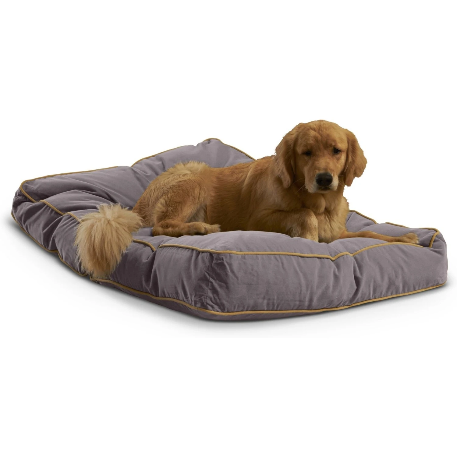 Happy Hounds Bailey Rectangle Pillow Dog Bed With Removable Cover 5 Happy Hounds Bailey Rectangle Pillow Dog Bed With Removable Cover - Image 3
