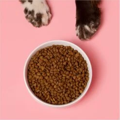 Waggo Cling Non-Skid Silicone Bottom Dog & Cat Bowl -Blue Buffalos Shop 731438 PT2. AC SS1800 V1698437624