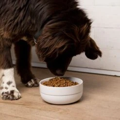 Waggo Cling Non-Skid Silicone Bottom Dog & Cat Bowl -Blue Buffalos Shop 731438 PT3. AC SS1800 V1698346581